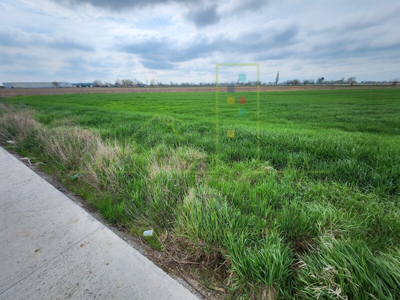 Teren intre SAG si Timisoara, langa depozit Profi